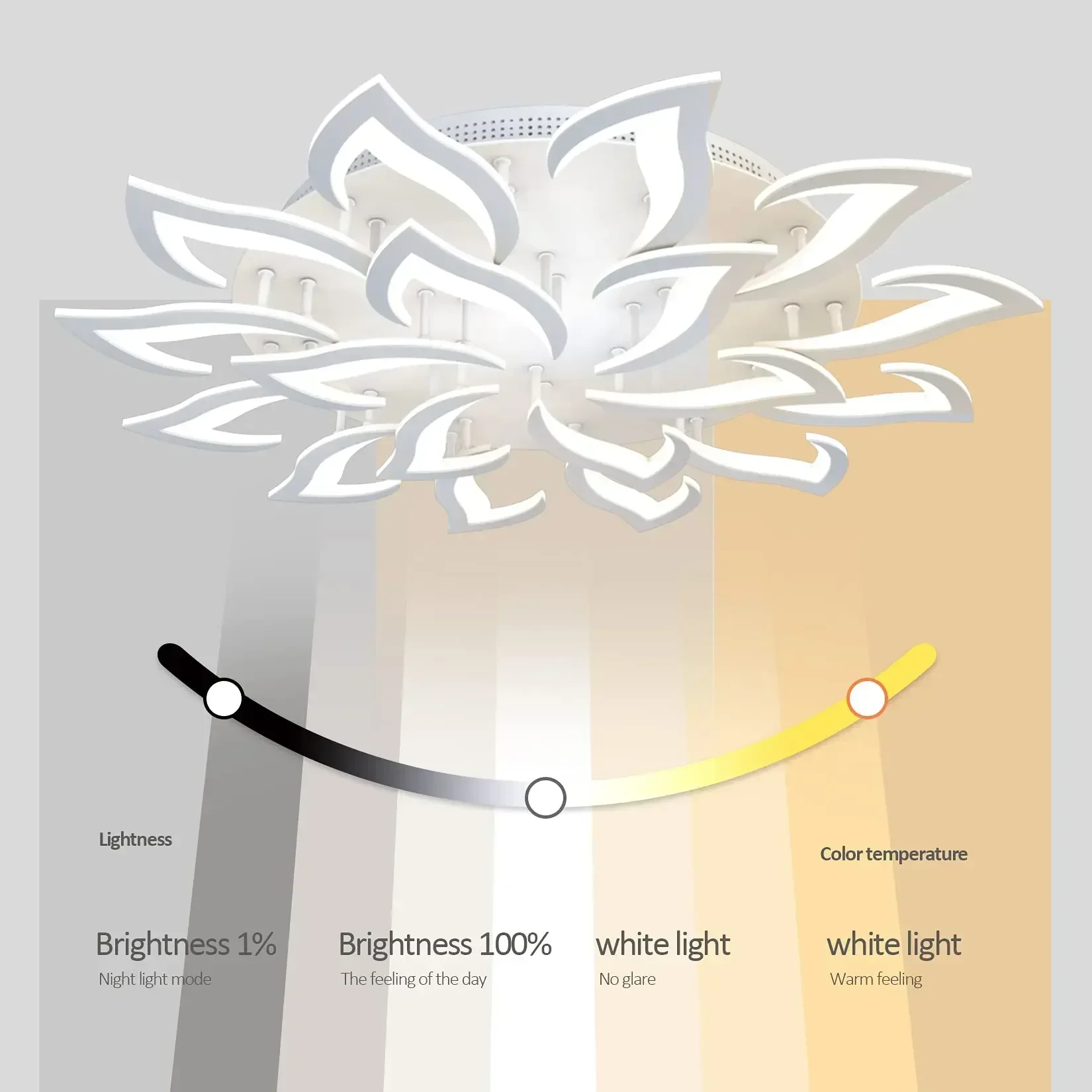Plafonnier LED en Forme de Pét - Interior Design Kitchen Modern avis et prix